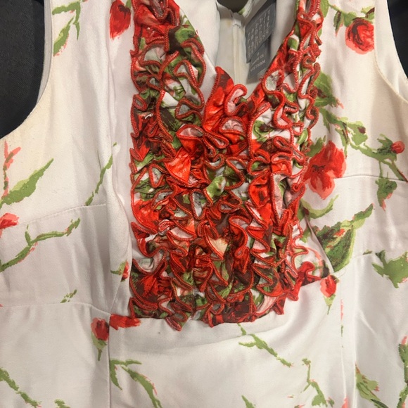 Rabbit Rabbit Rabbit Dress with Red and Green Details - Picture 2 of 4